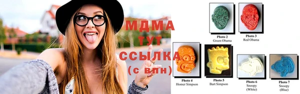 spice Богородицк