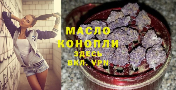 spice Богородицк